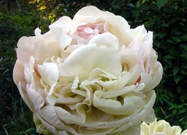075