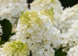 351_source_1687542254