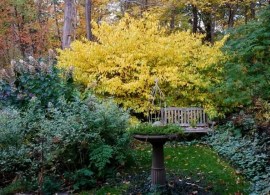 3b9664773ad4583df643d848a6da5ae0--botanical-gardens-rotary7