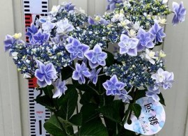9a07eb84-800b-4de3-a6ff-e72a1eb71f73