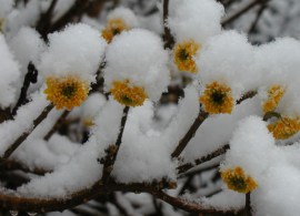 e01cef4b207388e38df2997ae7e4b22d_i-282