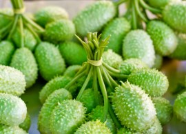 ogórek-ozdobny-cucumis-sp.-mix-odmian-9