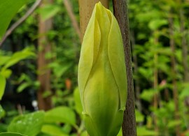 photo-editor-20190517-174815_1024x1024@2x