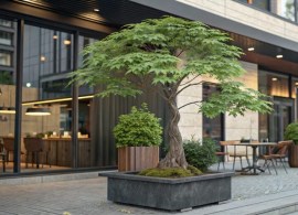 ultra-realistic-editorial-photo-of-aralia-elata--1024x512